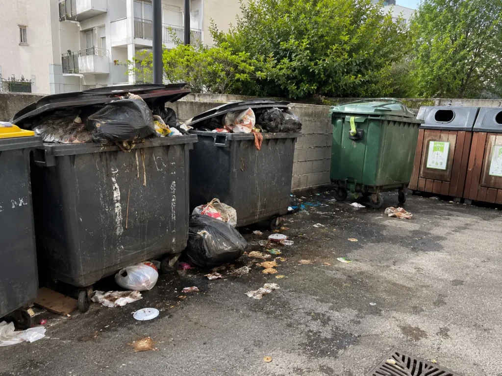 Pourquoi une poubelle extérieure dégage une odeur très forte ?