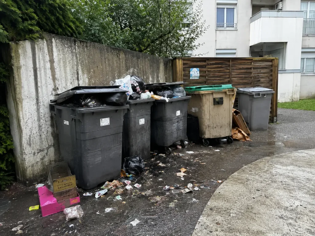 Quand faut-il renforcer l’entretien des bacs roulants ?